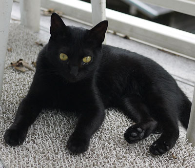 Tシャツ屋ShopMajopの雑記帖-モデルさん